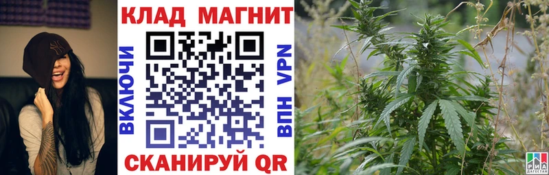 Магазины продажи наркотиков Змеиногорск Бошки Шишки  COCAIN  Псилоцибиновые грибы  МЕФ  A PVP 
