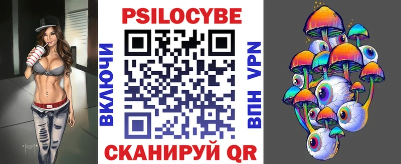 Галлюциногенные грибы Psilocybe Змеиногорск